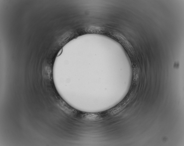 X0000096630669200803041105