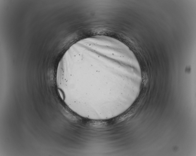 X0000096630670200803041105