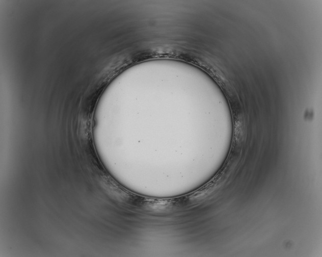 X0000096630671200803041105