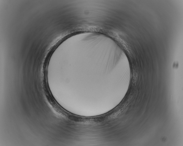 X0000096630674200803041105