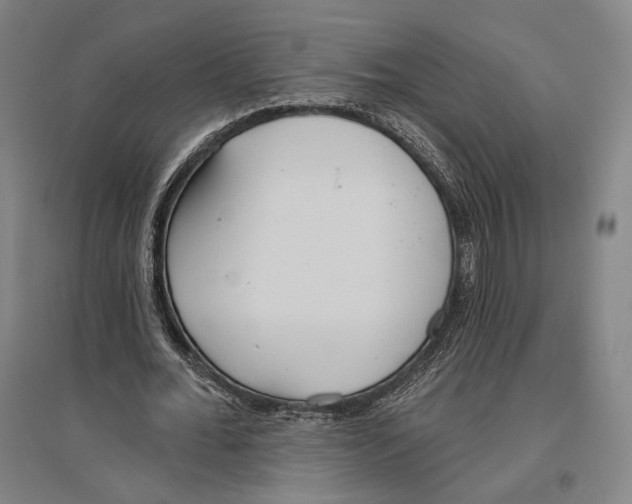 X0000096630676200803041104