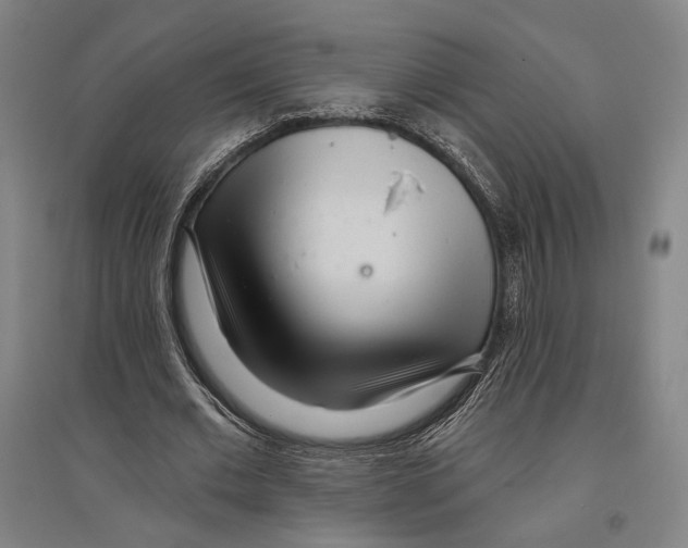 X0000096630677200803041104