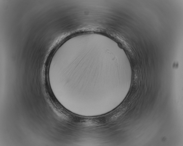 X0000096630678200803041104