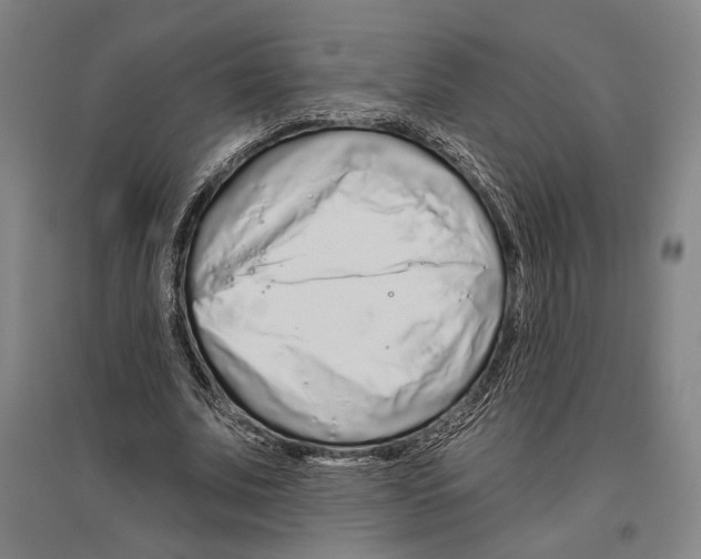 X0000096630679200803041104