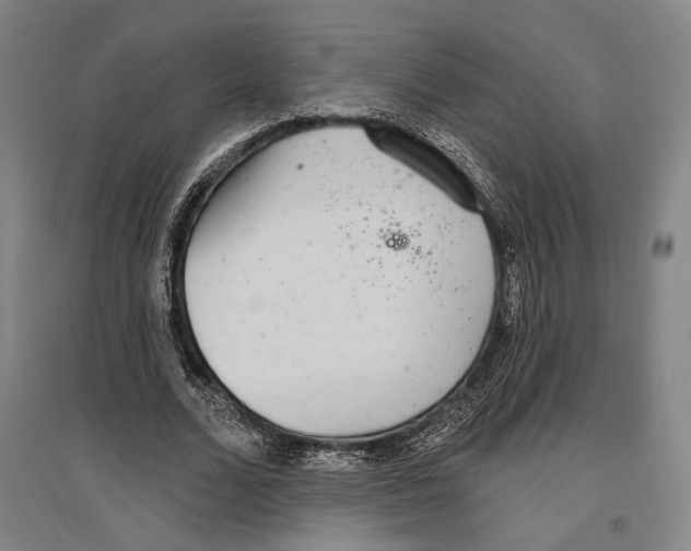 X0000096630680200803041104