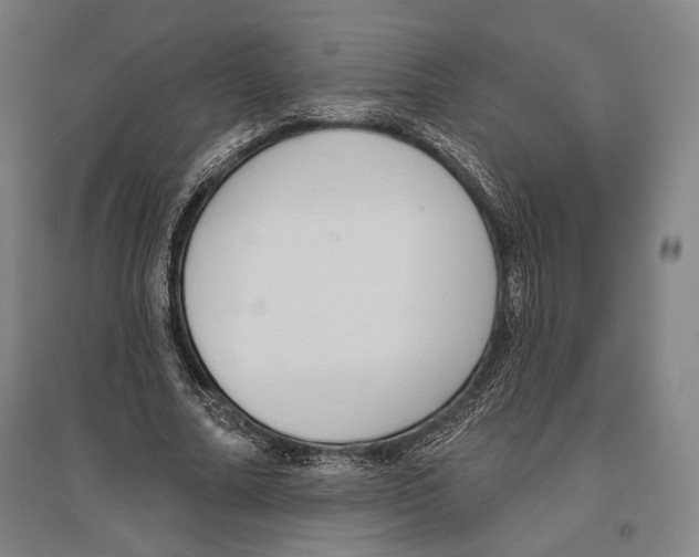 X0000096630682200803041104