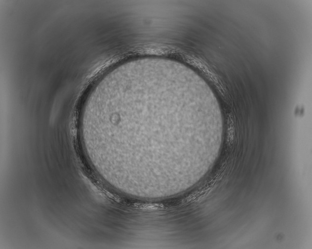 X0000096630683200803041104