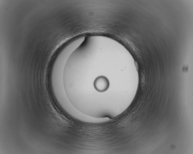 X0000096630684200803041104
