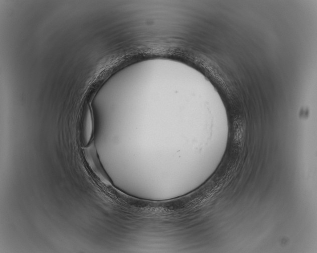 X0000096630685200803041104