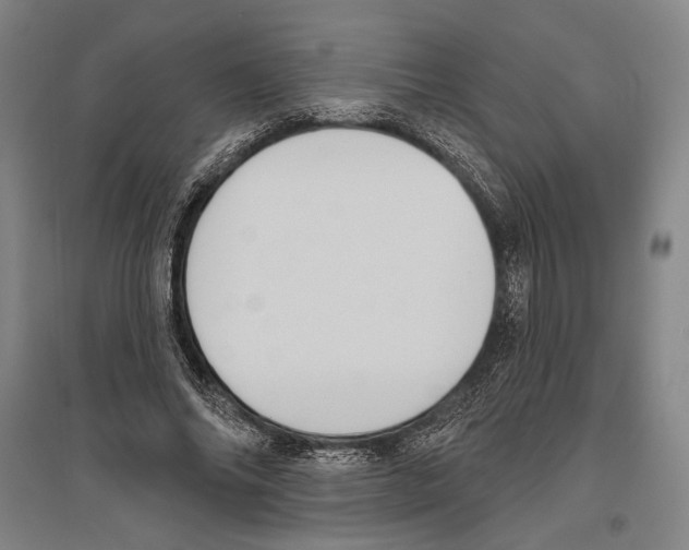 X0000096630686200803041104