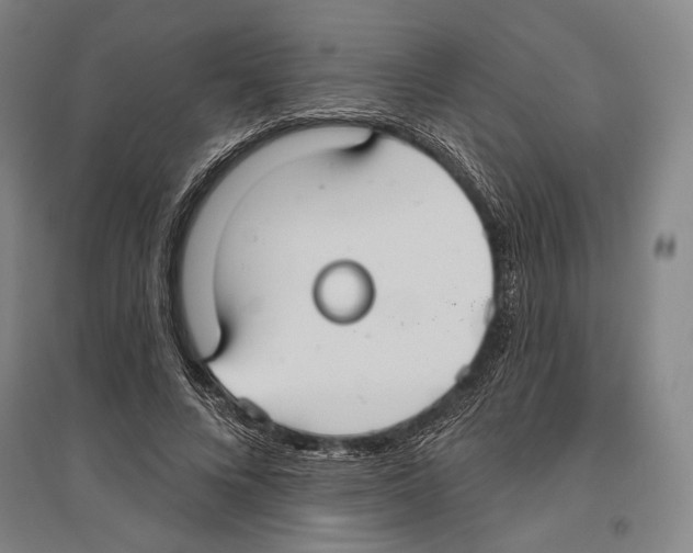 X0000096630688200803041104