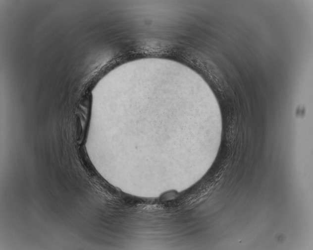 X0000096630689200803041104