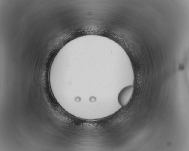 X0000096630690200803041104