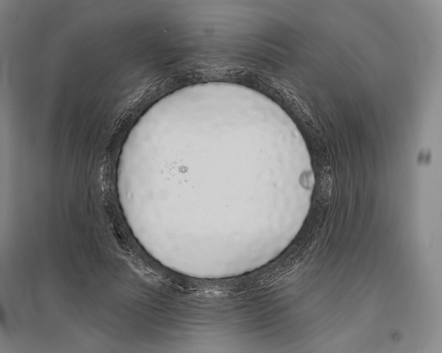 X0000096630691200803041104