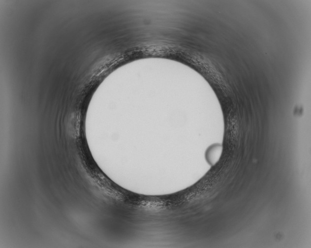 X0000096630694200803041104