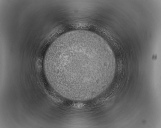 X0000096630695200803041104