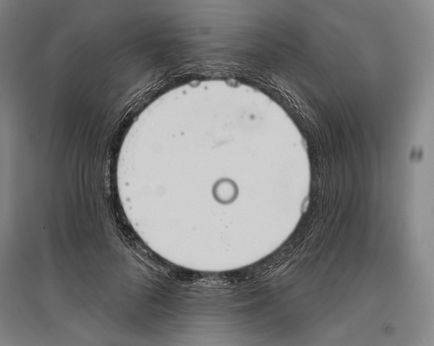 X0000096630696200803041104