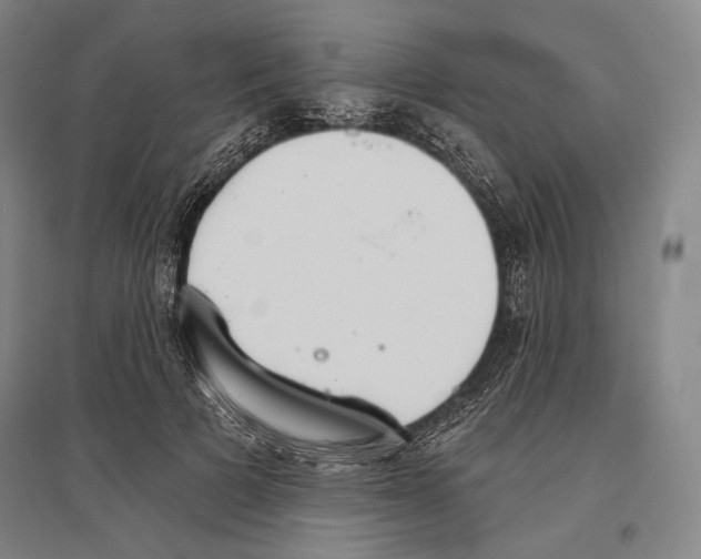 X0000096630697200803041104