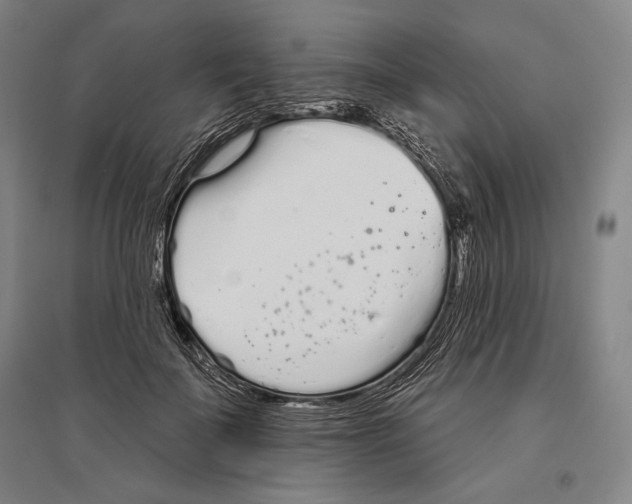 X0000096630699200803041104