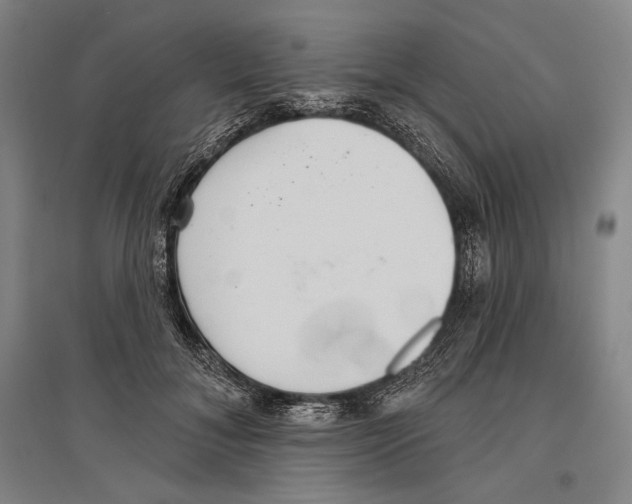 X0000096630700200803041104