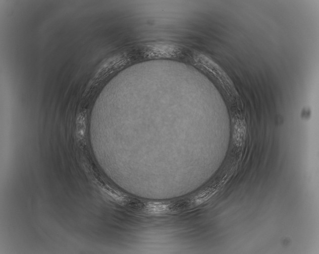X0000096630701200803041104