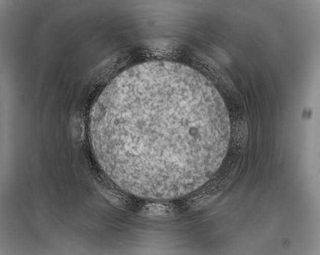 X0000096630703200803041104