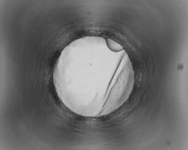 X0000096630707200803041104