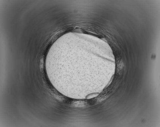 X0000096630708200803041104