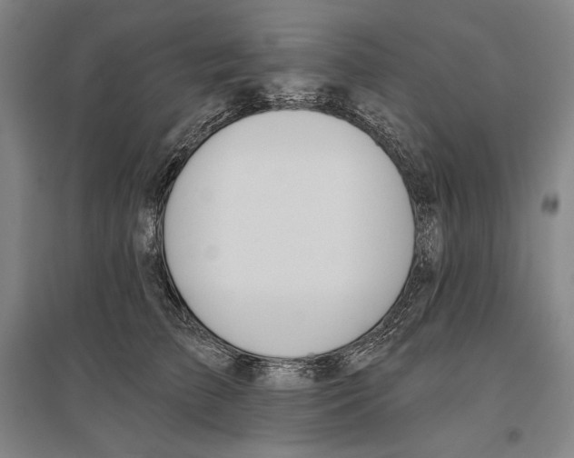 X0000096630709200803041104