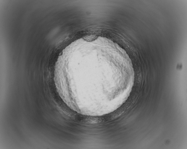 X0000096630711200803041104