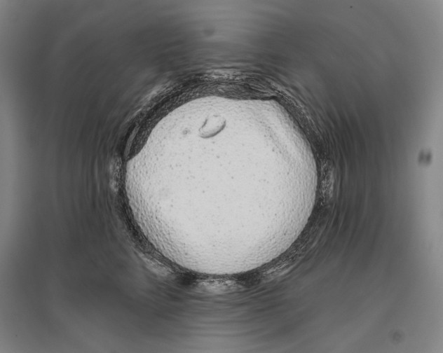 X0000096630712200803041104