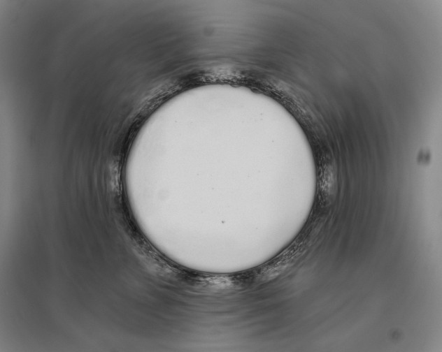 X0000096630715200803041104