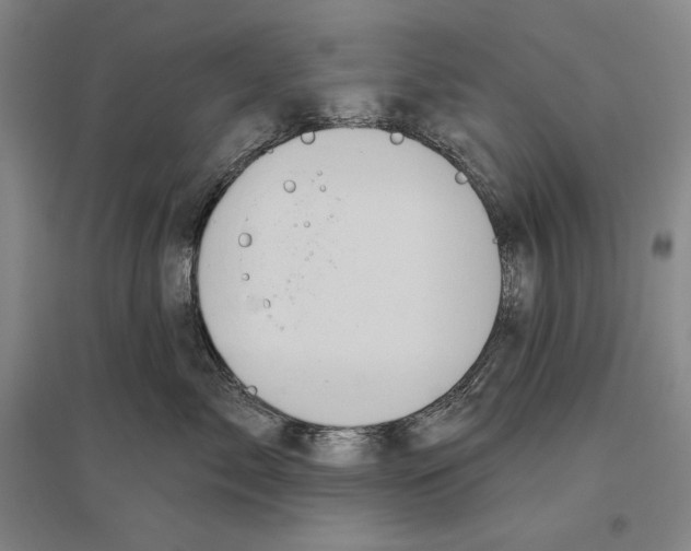 X0000096630717200803041104
