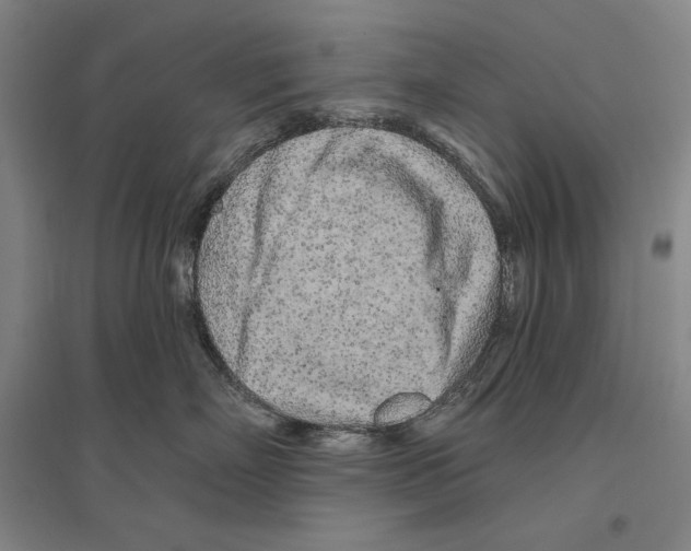 X0000096630718200803041104