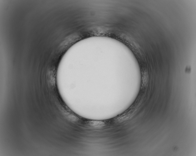 X0000096630719200803041104