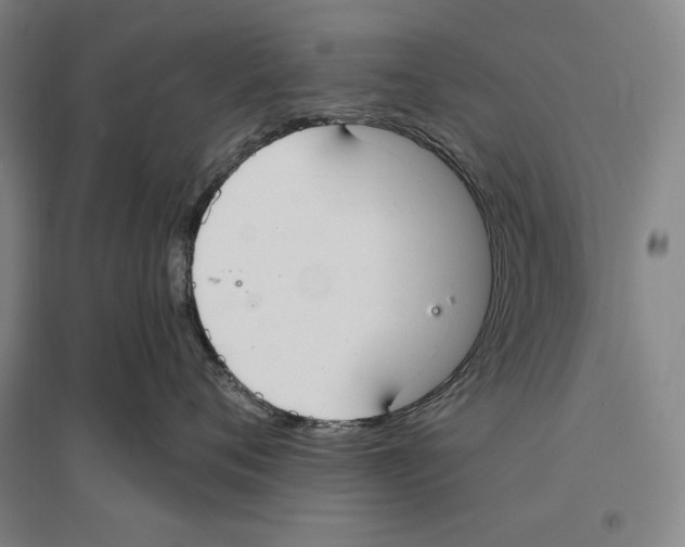 X0000096630720200803041104
