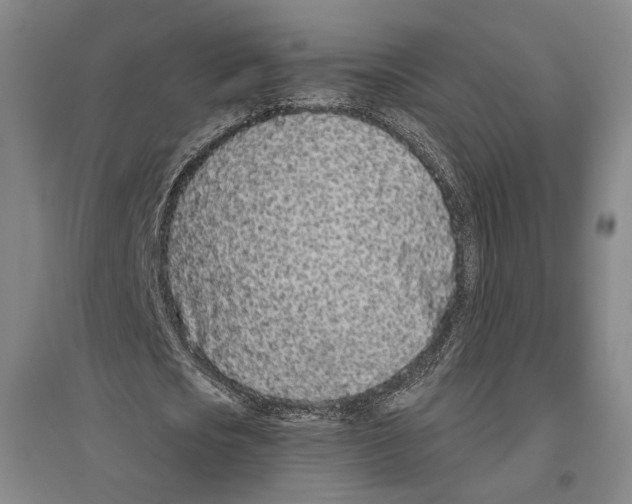 X0000096630721200803041103