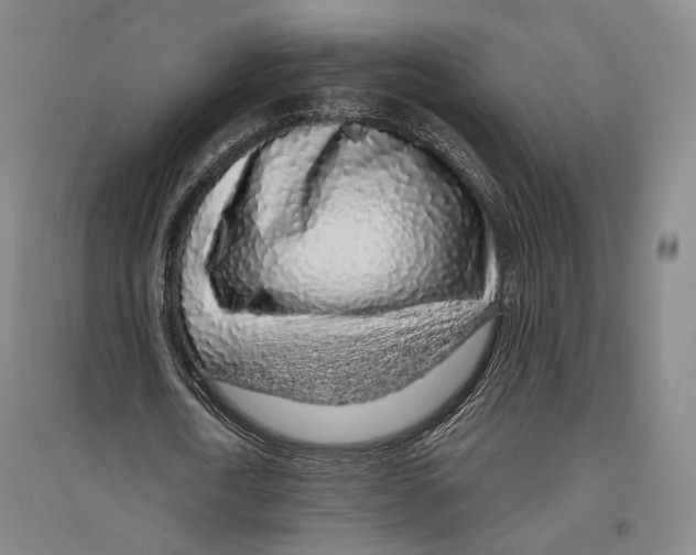 X0000096630722200803041103