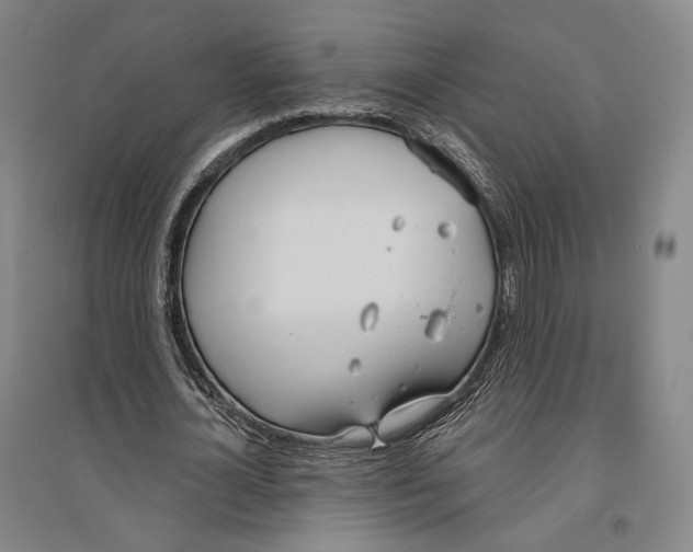 X0000096630724200803041103