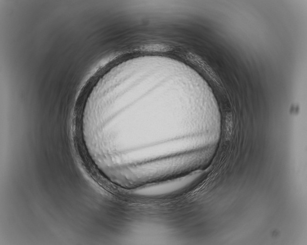 X0000096630726200803041103