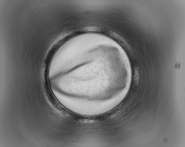 X0000096630730200803041103