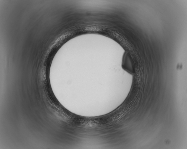 X0000096630731200803041103