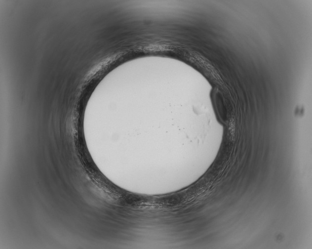X0000096630732200803041103