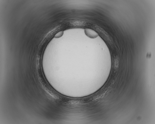 X0000096630733200803041103