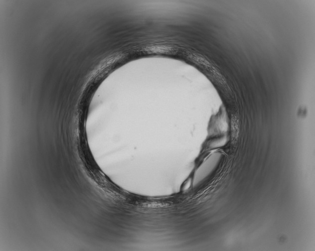 X0000096630734200803041103