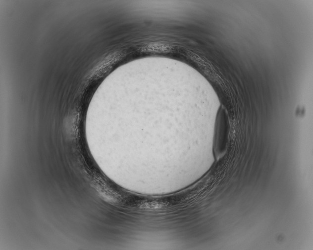 X0000096630735200803041103