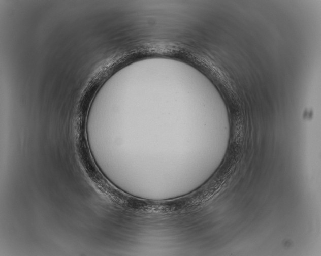 X0000096630736200803041103