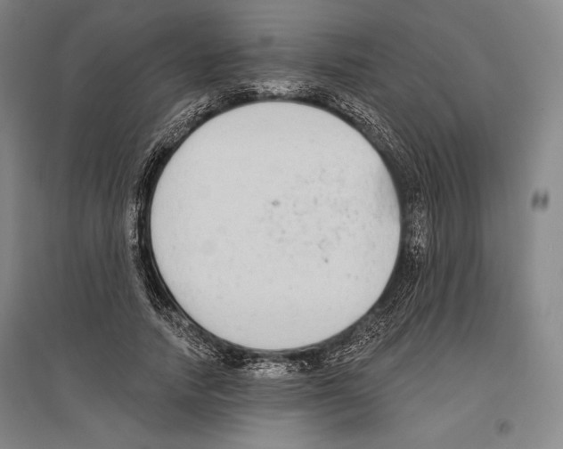 X0000096630738200803041103