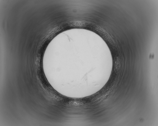 X0000096630739200803041103