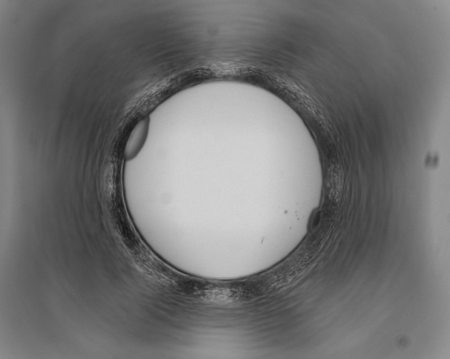 X0000096630740200803041103